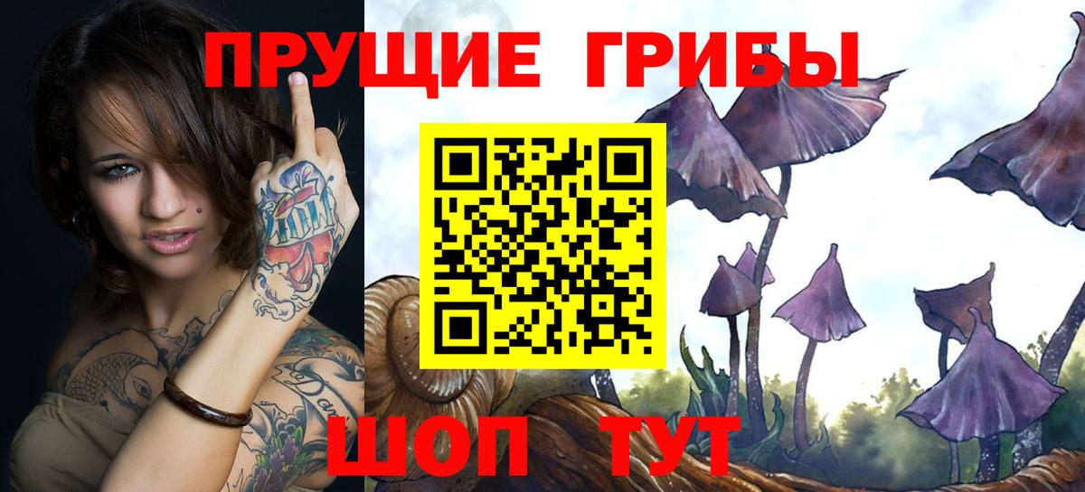 Галлюциногенные грибы Cubensis  Вход с VPN  Борисоглебск  Псилоцибиновые грибы GOLDEN TEACHER 